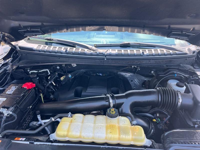 Ford Expedition  2019