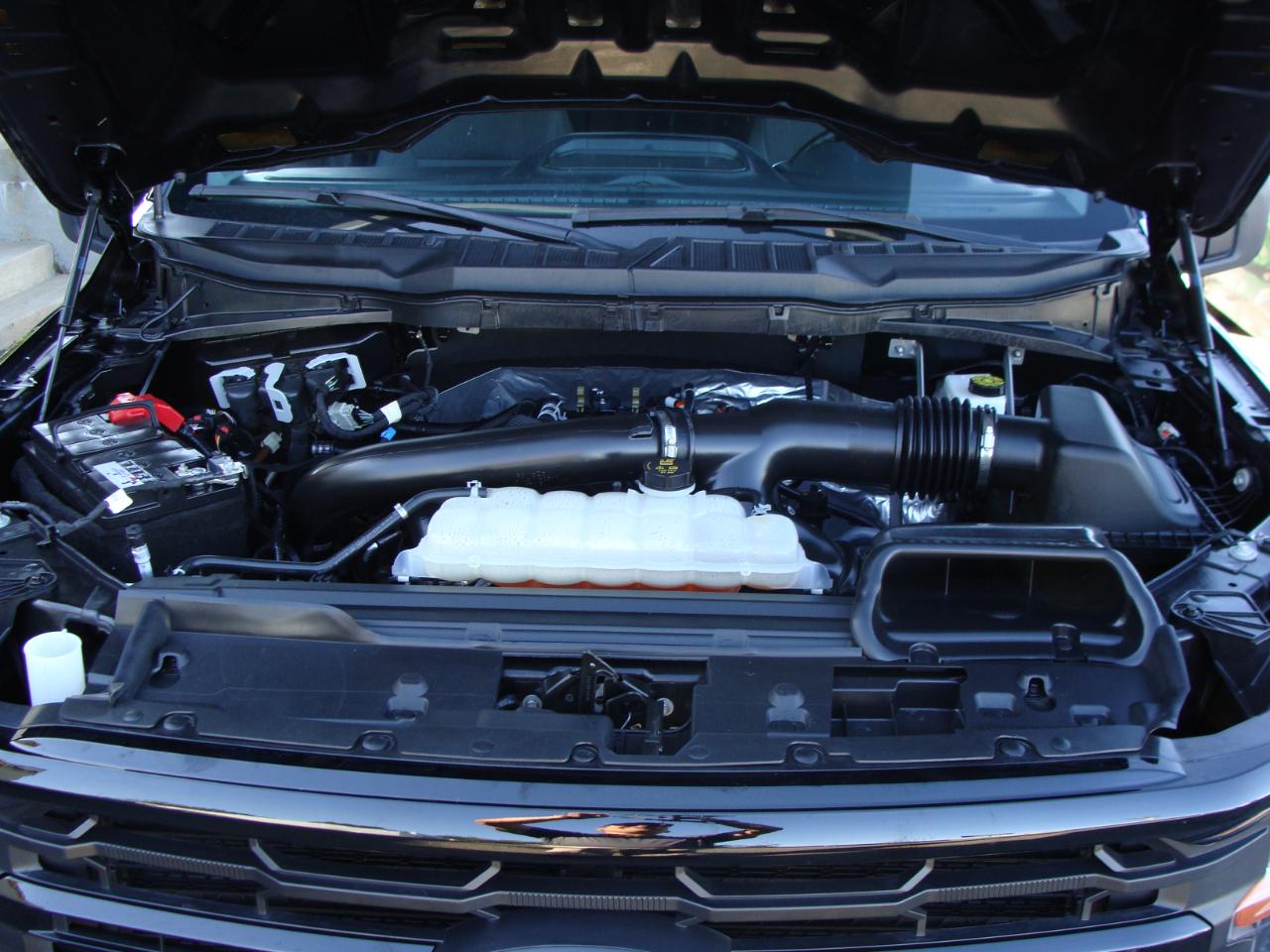 Ford F-150 XLT 4WD SuperCrew 5.5' Box 2025