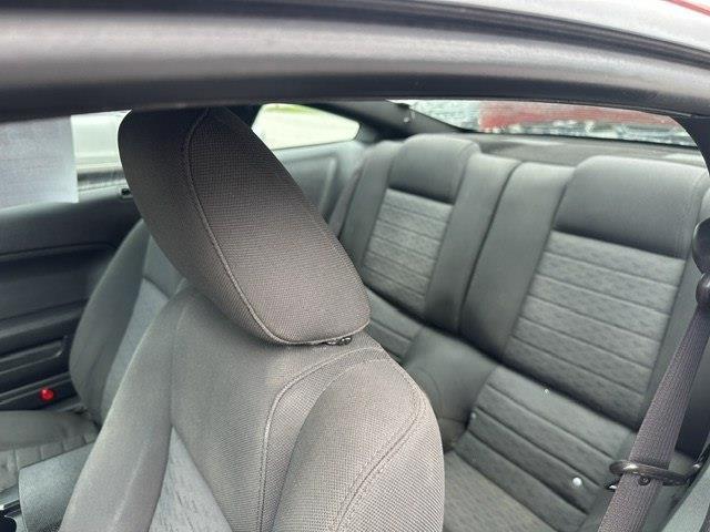 Ford Mustang GT Deluxe Coupe 2006