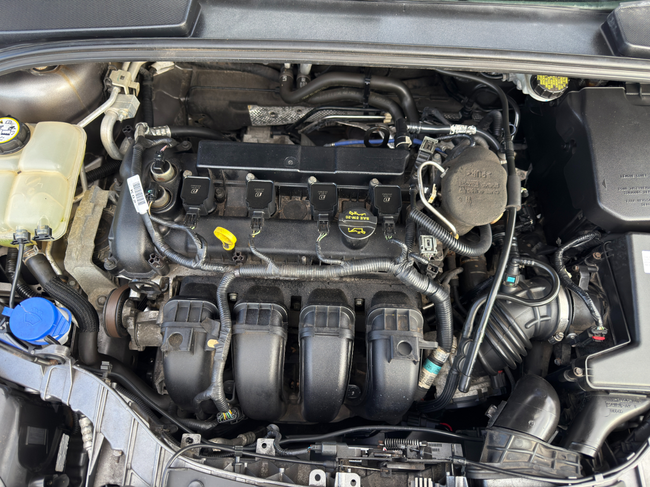 Ford Focus SE Sedan 2012