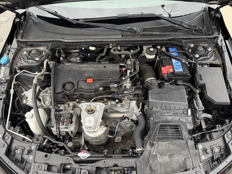 Honda Civic Sport 2024