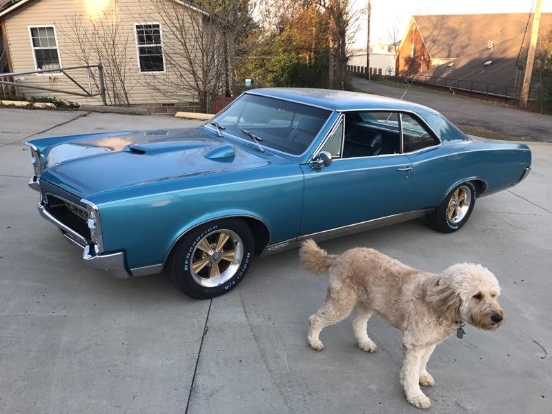 Used 1967 Pontiac GTO for Sale in Guntersville AL 35976 Coupe De LA LA