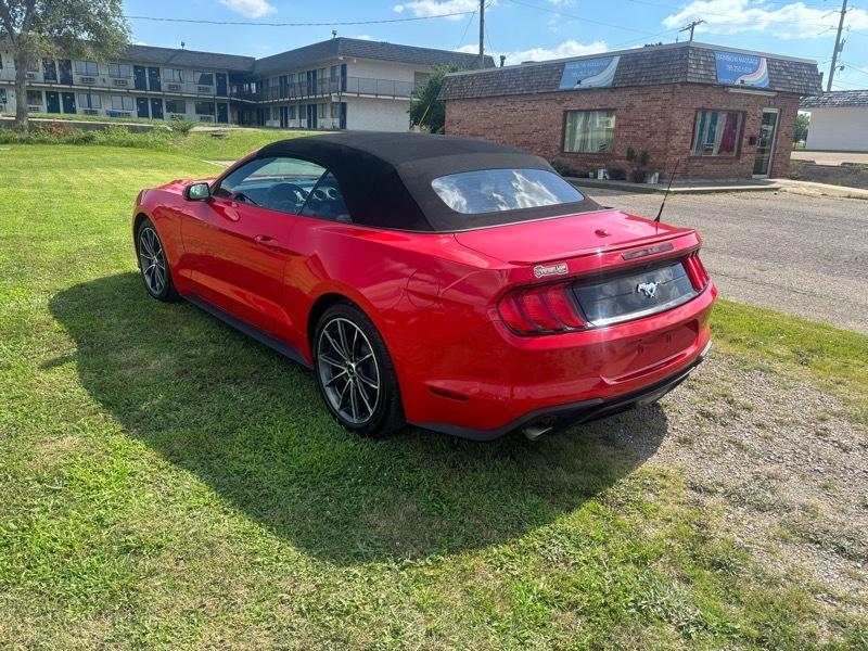 Ford Mustang EcoBoost Premium Convertible 2019