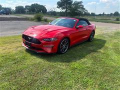 2019 Ford Mustang 