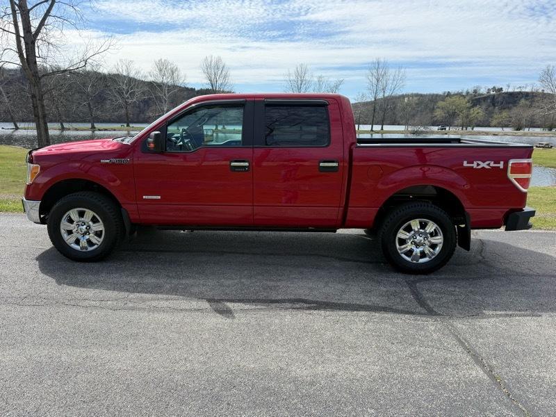 Ford F-150 XLT SuperCrew 6.5-ft. Bed 4WD 2011
