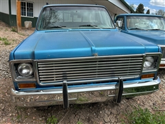 1978 Chevrolet Trucks Pickup 