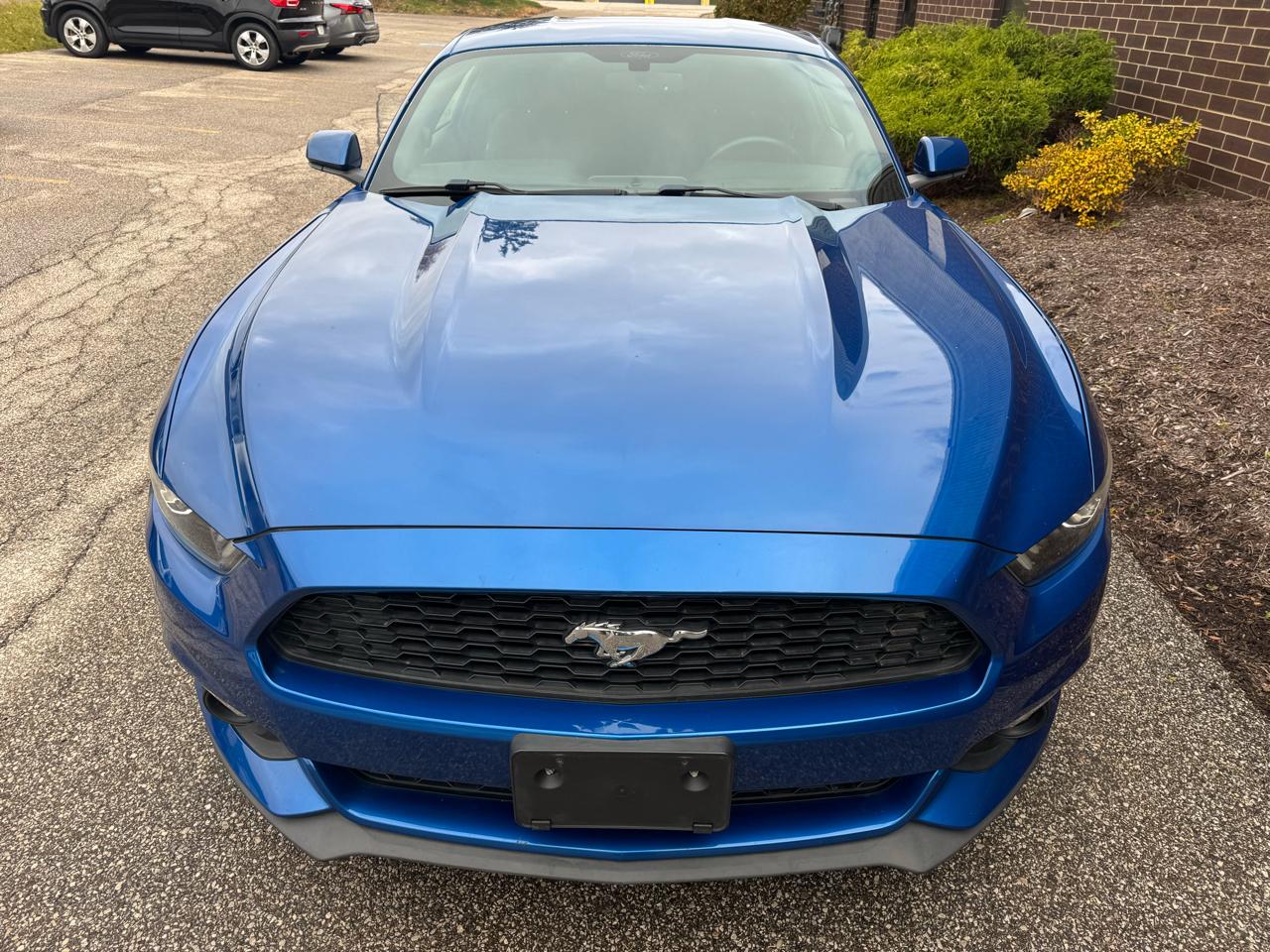 Ford Mustang EcoBoost Fastback 2017