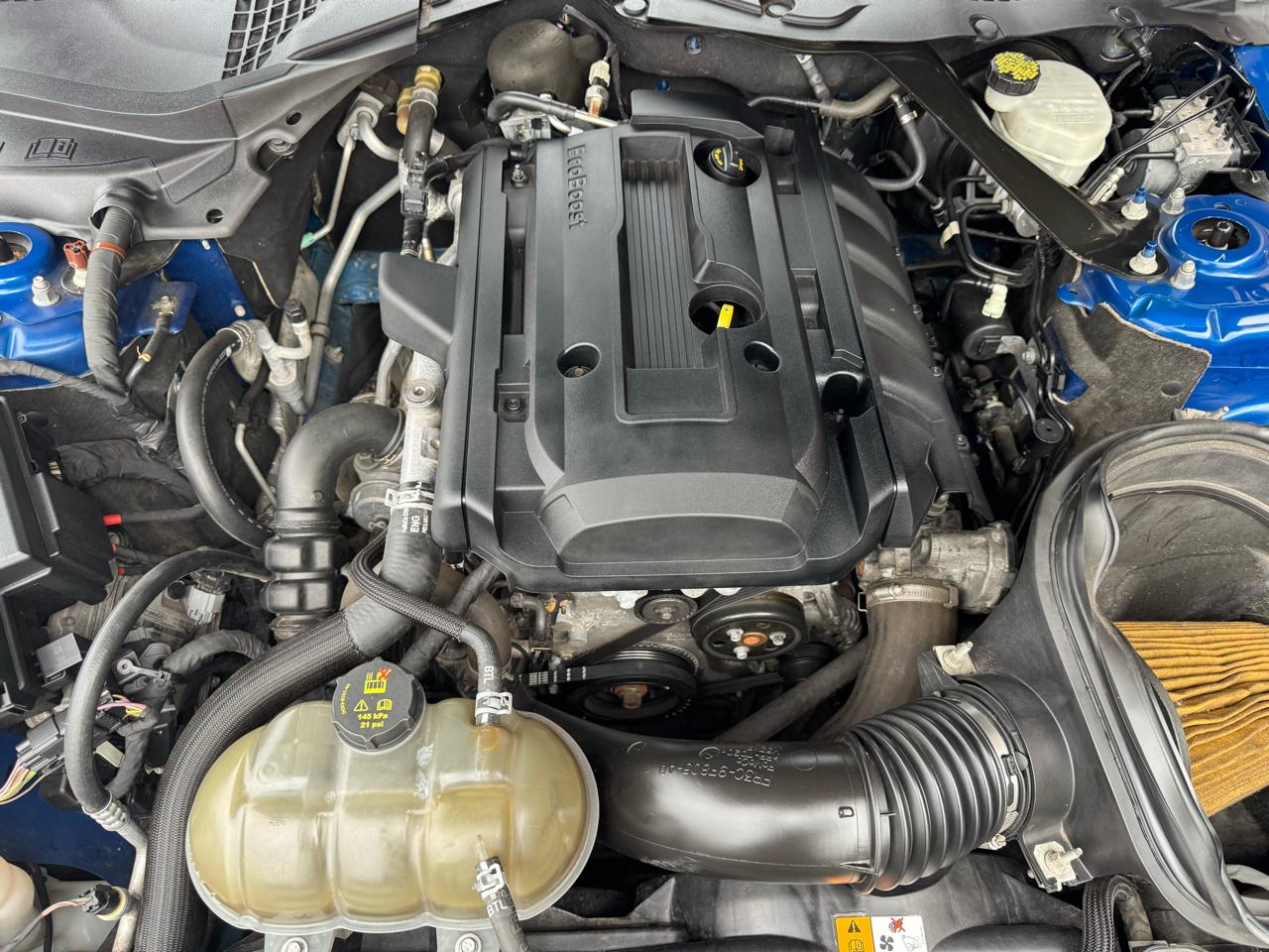 Ford Mustang EcoBoost Fastback 2017