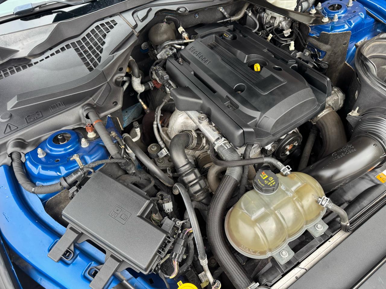 Ford Mustang EcoBoost Fastback 2017