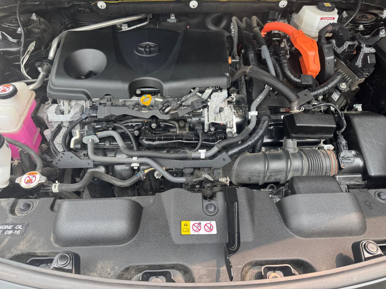 Toyota Venza LE AWD (Natl) 2021