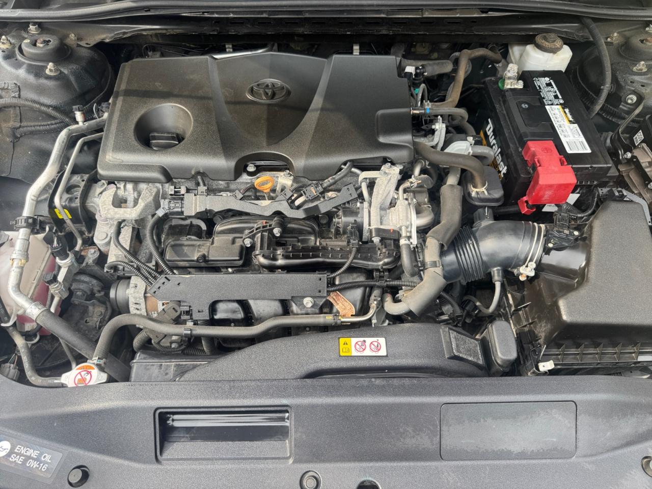 Toyota Camry LE Auto (Natl) 2019