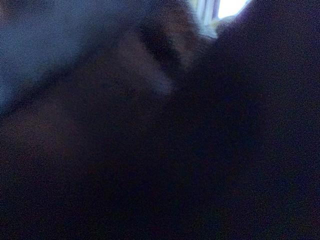 Toyota RAV4 Base I4 4WD 2011 Toyota RAV4 Base I4 4WD 2011