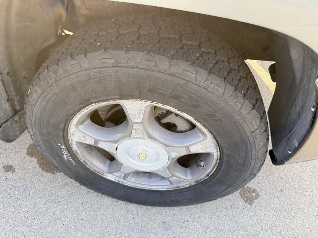 Chevrolet TrailBlazer LS1 4WD 2007