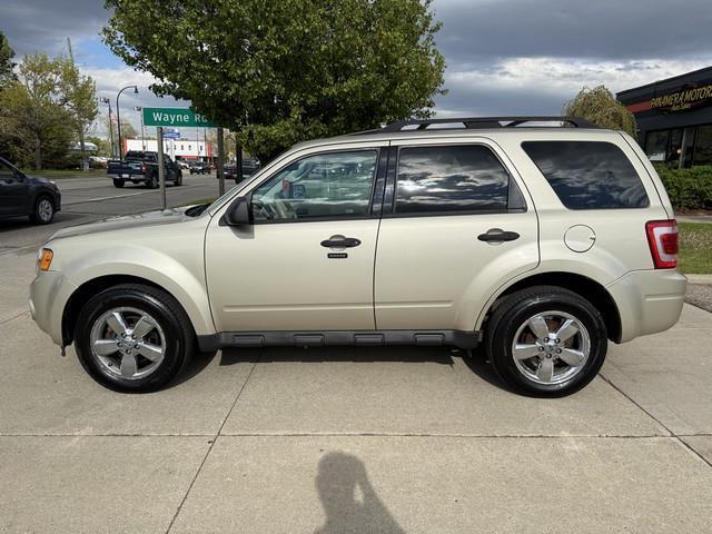 Ford Escape XLT 4WD 2011