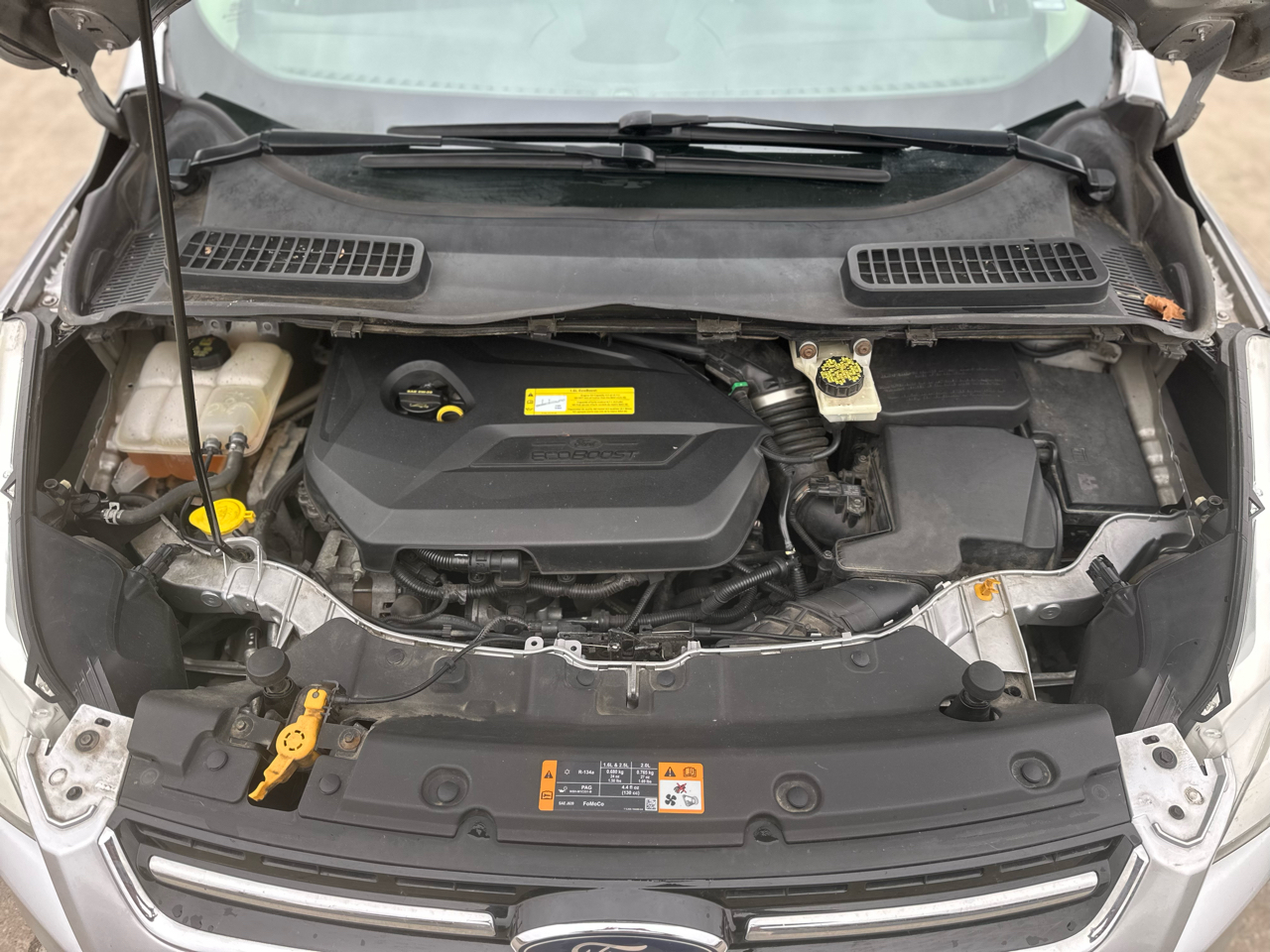 Ford Escape 4WD 4dr SEL 2013