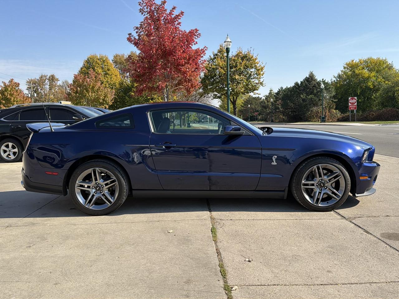 Ford Mustang 2dr Cpe Shelby GT500 2010