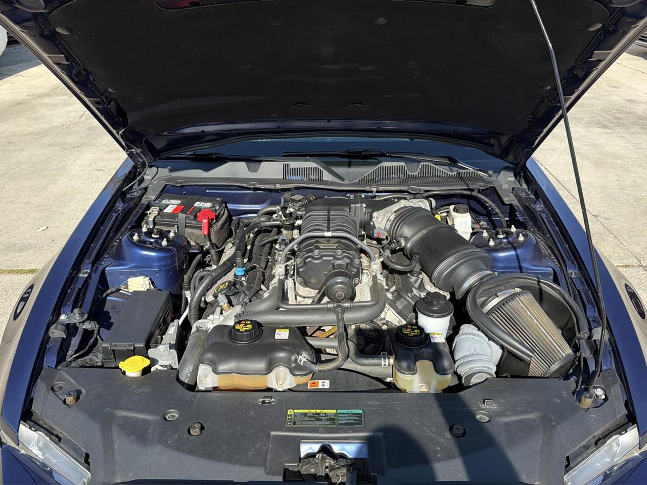 Ford Mustang 2dr Cpe Shelby GT500 2010
