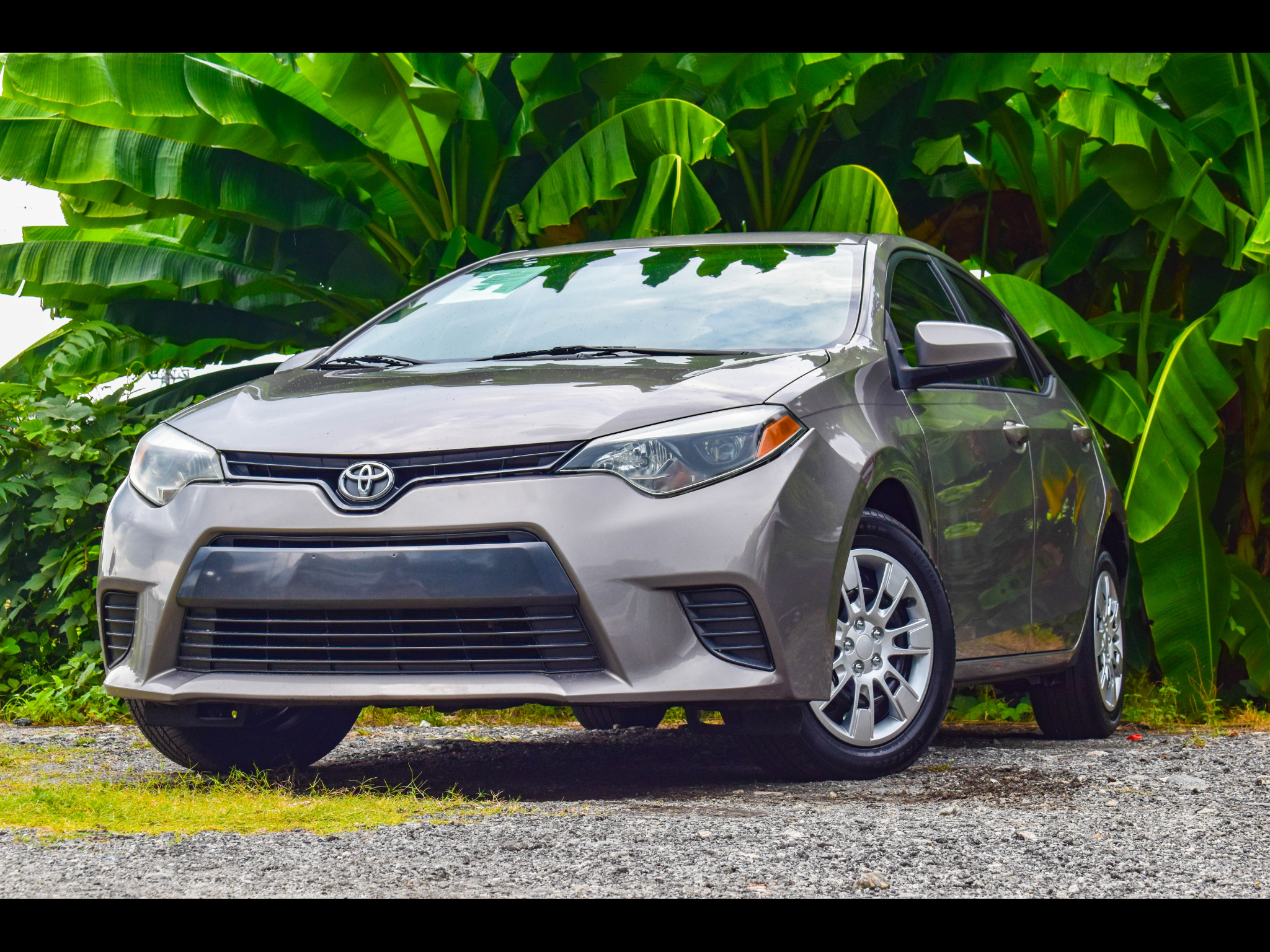 Toyota Corolla 4dr Sdn Auto LE (Natl) 2016