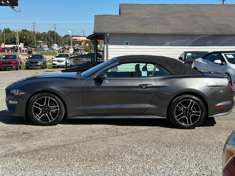 Ford Mustang EcoBoost Premium Convertible 2019 Ford Mustang EcoBoost Premium Convertible 2019