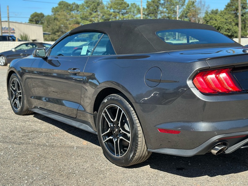 Ford Mustang EcoBoost Premium Convertible 2019 Ford Mustang EcoBoost Premium Convertible 2019