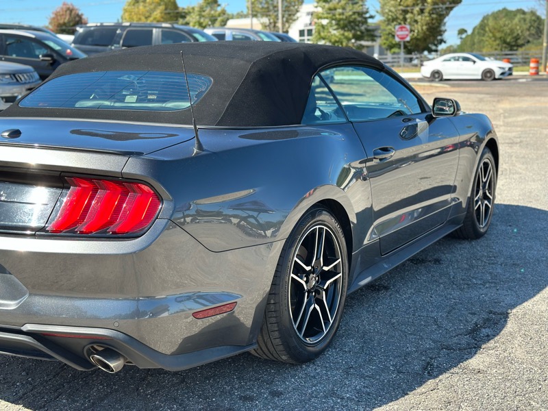 Ford Mustang EcoBoost Premium Convertible 2019 Ford Mustang EcoBoost Premium Convertible 2019
