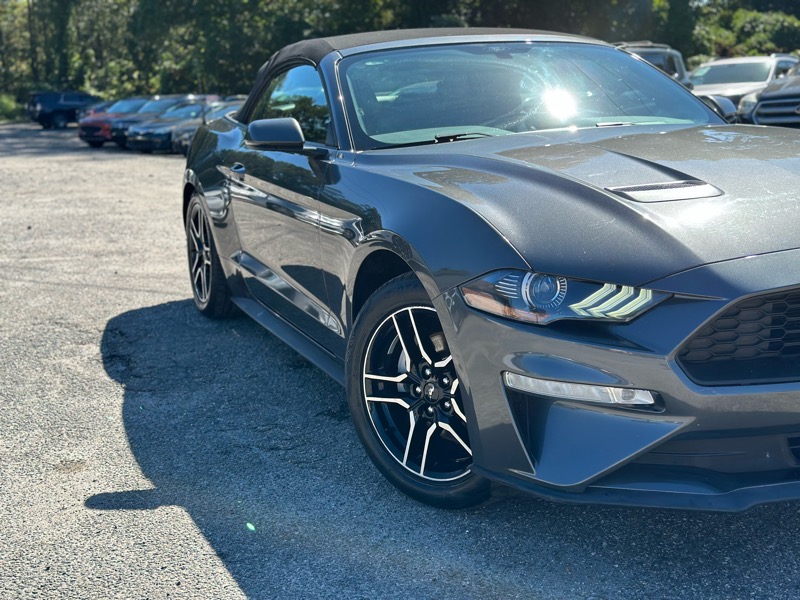 Ford Mustang EcoBoost Premium Convertible 2019 Ford Mustang EcoBoost Premium Convertible 2019