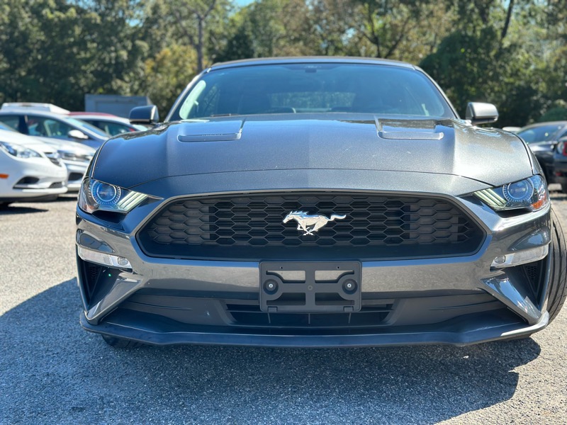 Ford Mustang EcoBoost Premium Convertible 2019 Ford Mustang EcoBoost Premium Convertible 2019