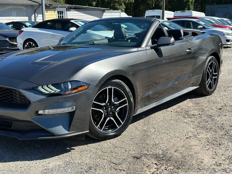 Ford Mustang EcoBoost Premium Convertible 2019 Ford Mustang EcoBoost Premium Convertible 2019