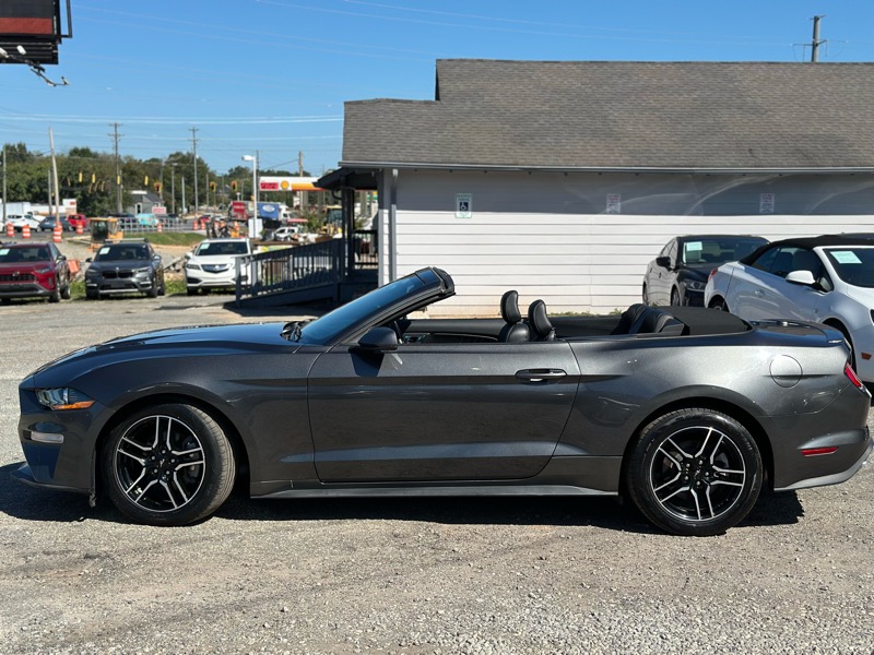 Ford Mustang EcoBoost Premium Convertible 2019 Ford Mustang EcoBoost Premium Convertible 2019