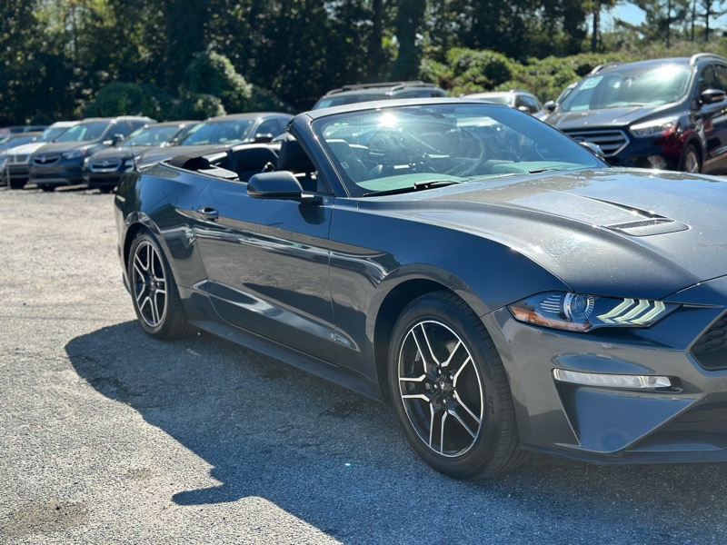 Ford Mustang EcoBoost Premium Convertible 2019 Ford Mustang EcoBoost Premium Convertible 2019