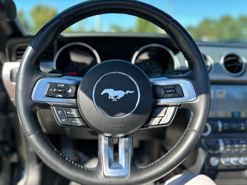Ford Mustang EcoBoost Premium Convertible 2019 Ford Mustang EcoBoost Premium Convertible 2019