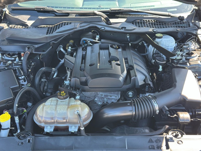 Ford Mustang EcoBoost Premium Convertible 2019 Ford Mustang EcoBoost Premium Convertible 2019