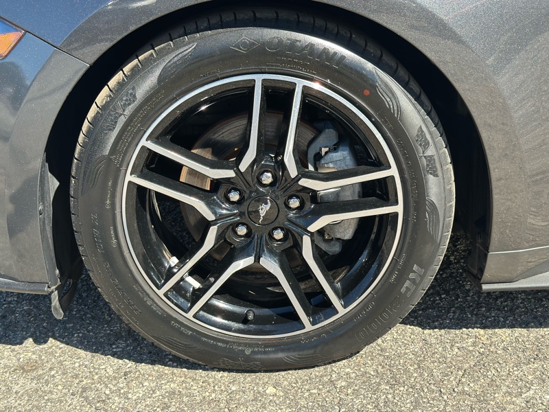 Ford Mustang EcoBoost Premium Convertible 2019 Ford Mustang EcoBoost Premium Convertible 2019