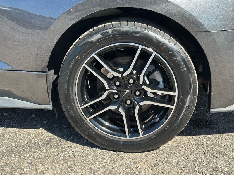 Ford Mustang EcoBoost Premium Convertible 2019 Ford Mustang EcoBoost Premium Convertible 2019