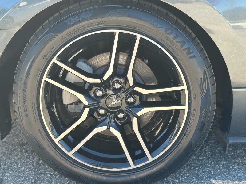 Ford Mustang EcoBoost Premium Convertible 2019 Ford Mustang EcoBoost Premium Convertible 2019