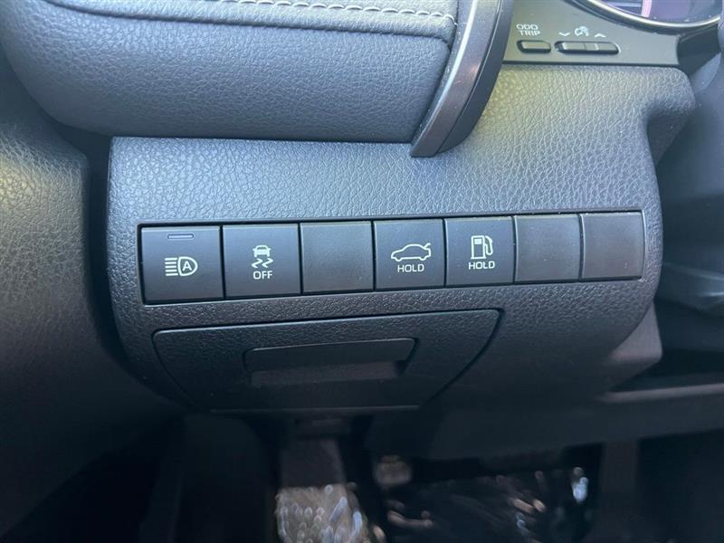 Toyota Camry XLE Auto (Natl) 2019