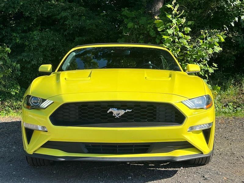 Ford Mustang EcoBoost Convertible 2021
