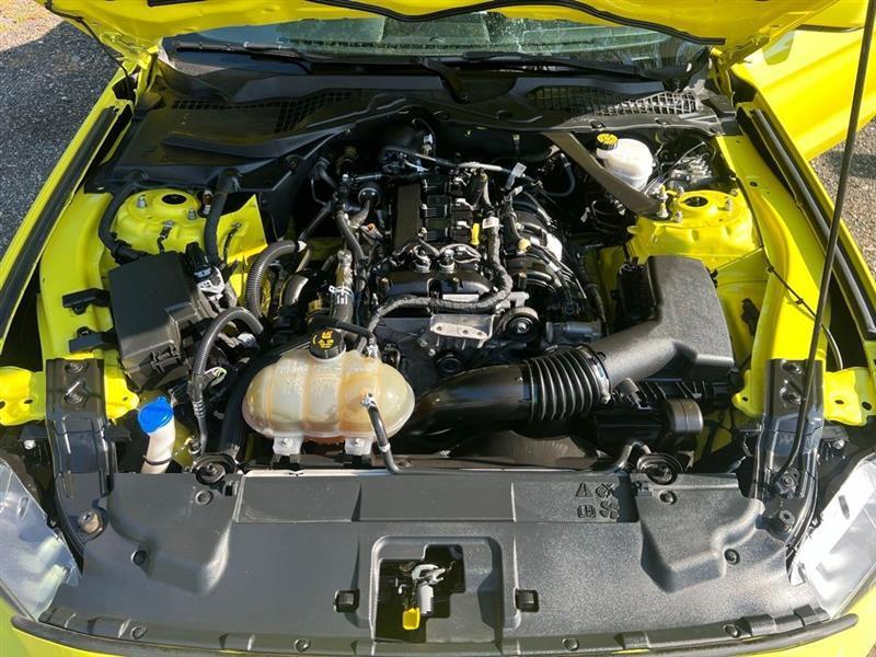 Ford Mustang EcoBoost Convertible 2021