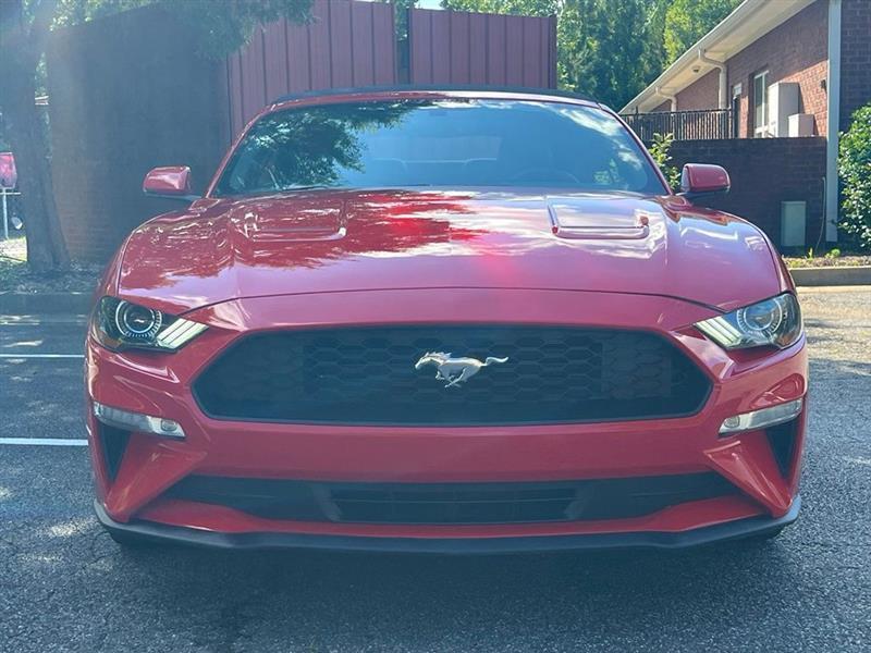 Ford Mustang EcoBoost Convertible 2019
