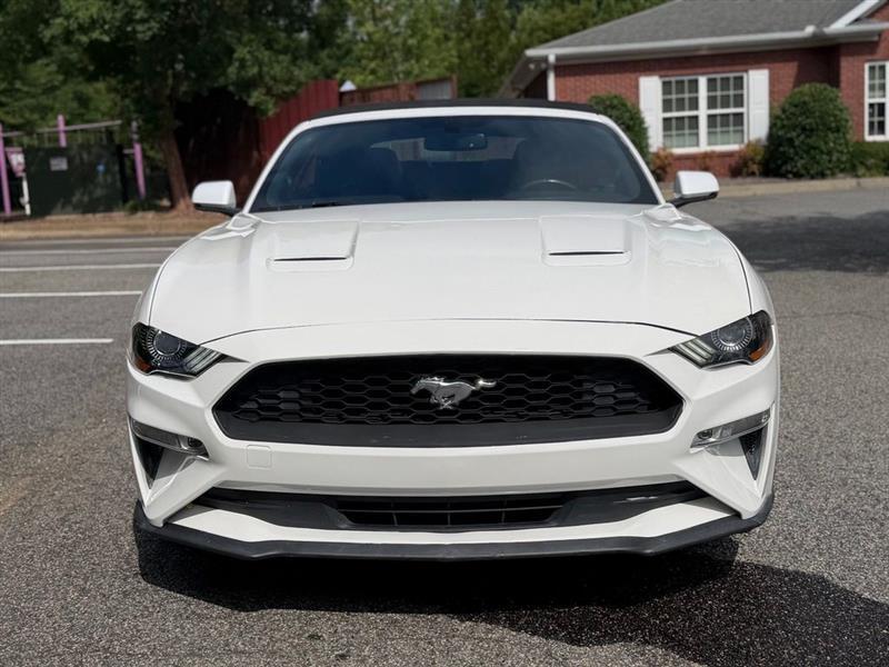 Ford Mustang EcoBoost Convertible 2019
