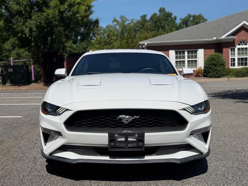 Ford Mustang EcoBoost Fastback 2018