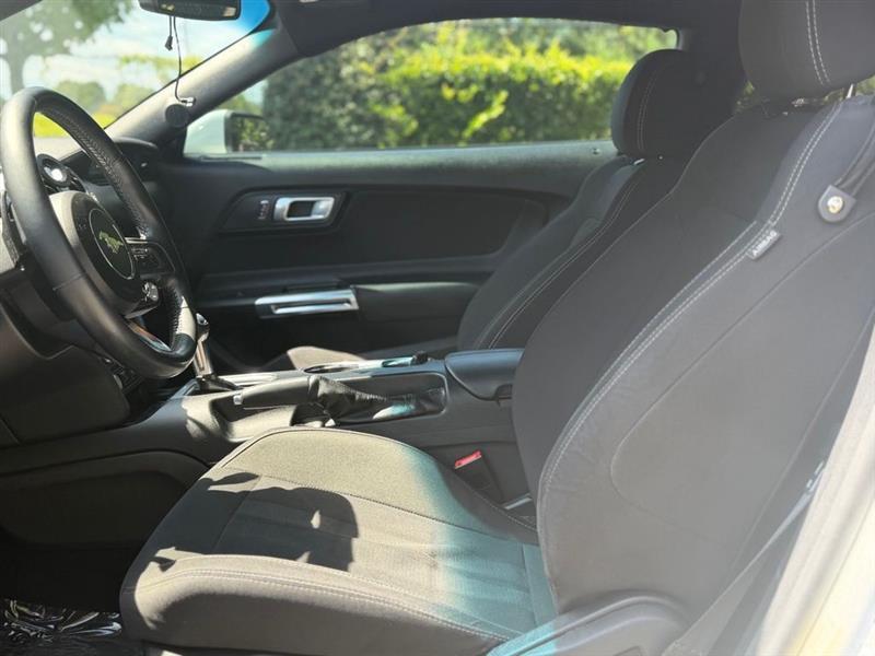 Ford Mustang EcoBoost Fastback 2018