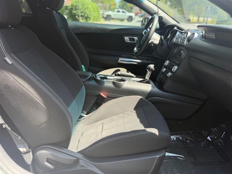 Ford Mustang EcoBoost Fastback 2018