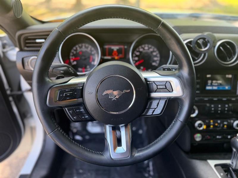 Ford Mustang EcoBoost Fastback 2018