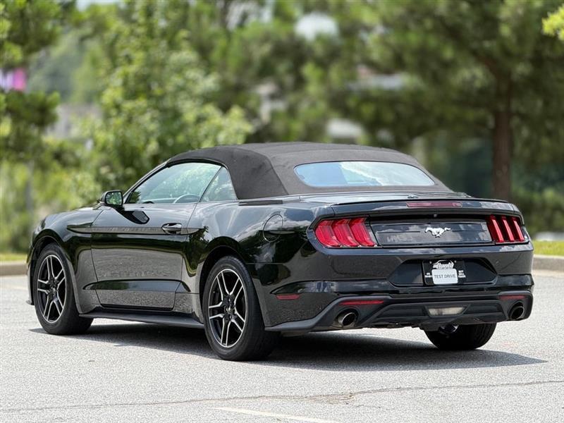 Ford Mustang EcoBoost Convertible 2019