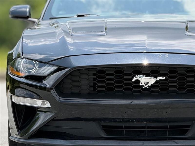 Ford Mustang EcoBoost Convertible 2019