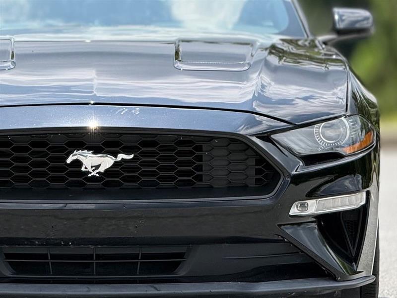 Ford Mustang EcoBoost Convertible 2019