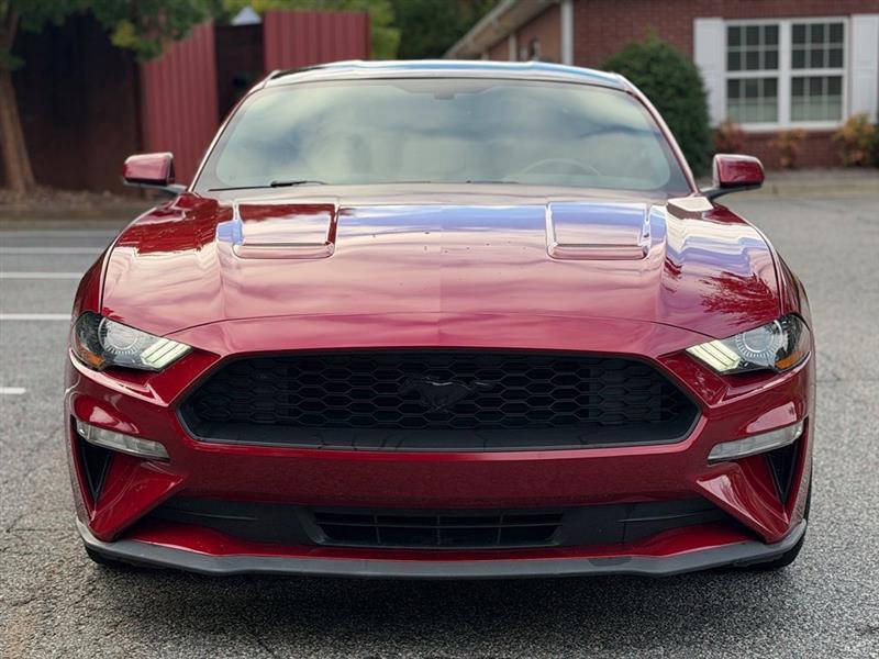 Ford Mustang EcoBoost Fastback 2019