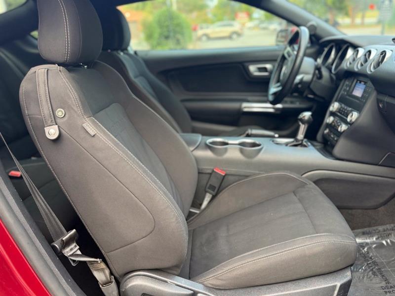 Ford Mustang EcoBoost Fastback 2019