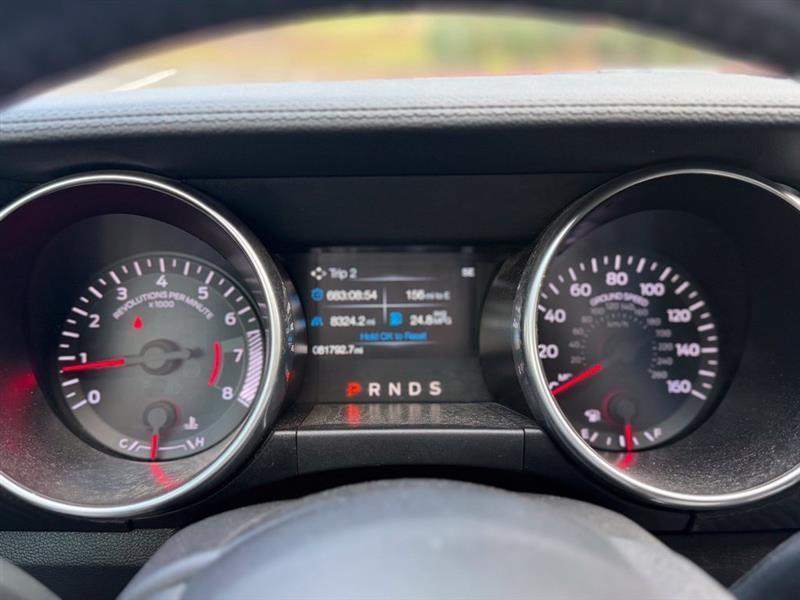 Ford Mustang EcoBoost Fastback 2019